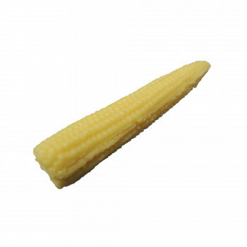 【暮らしラクラク応援セール】日本職人が作る 食品サンプルマグネット ヤングコーン IP-348【取り寄せ・返品不可商品】