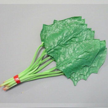 【暮らしラクラク応援セール】日本職人が作る 食品サンプル ほうれん草 IP-250【取り寄せ・返品不可商..