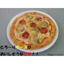 【暮らしラクラク応援セール】日本職人が作る 食品サンプル ピザ IP-170【取り寄せ・返品不可商品】