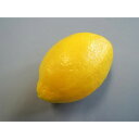 【暮らしラクラク応援セール】日本職人が作る 食品サンプル レモン IP-352【取り寄せ・返品不可商品】