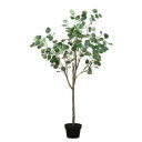 【暮らしラクラク応援セール】81022 フェイクツリー ユーカリ【取り寄せ・返品不可商品】
