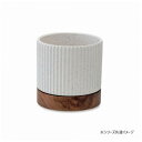 【暮らしラクラク応援セール】タイディポット ホワイト 30769【取り寄せ・返品不可商品】