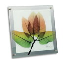 【暮らしラクラク応援セール】X RAY ガラス アート「アスペン フォール」 Mサイズ XR-05012【取り寄せ・返品不可商品】