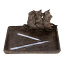 【暮らしラクラク応援セール】トレー ねこ 11116【取り寄せ・返品不可商品】