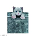 【暮らしラクラク応援セール】フレンドリーマスコット ひっかけキャット グレー 前向き 4009464-03【取り寄せ・返品不可商品】