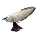 【暮らしラクラク応援セール】シルバーアロワナ ソフトモデル FF-003(77713)【取り寄せ・返品不可商品】