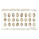 【暮らしラクラク応援セール】Sha-Nail Charm 写ネイル ネイルシール Stone Plate CH-017【取り寄せ・返品不可商品】
