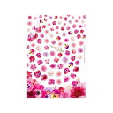 【暮らしラクラク応援セール】Sha-Nail Pro 写ネイル ネイルシール Anniversary Bouquet Pink ANVFW-001【取り寄せ・返...