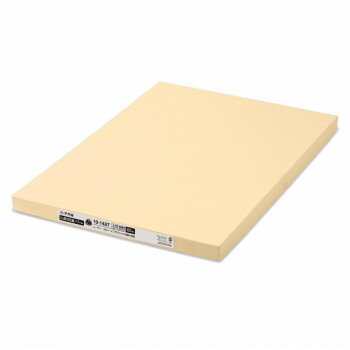 【暮らしラクラク応援セール】タカ印 OA賞状用紙 雲なし クリーム A3判 縦書用 100P 10-1487 100枚【取り寄せ・返品不可商品】