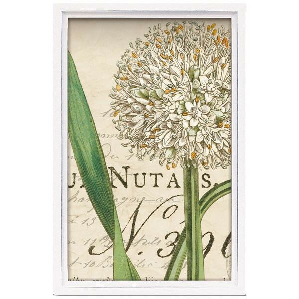 【暮らしラクラク応援セール】ユーパワー ロハス ミニアートフレーム ワイルド アップル スタジオ 「ボ..