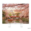 【暮らしラクラク応援セール】やのまん 風景 姫路城と桜 2308-28【取り寄せ・返品不可商品】