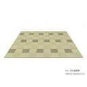 【暮らしラクラク応援セール】テスラ 茶染紋織 い草ラグ (裏貼加工) ベージュ 200x240cm TSN340955【取り寄せ・返品不可商品】