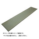 【暮らしラクラク応援セール】掛川織 い草廊下敷 約80×440cm グリーン TSN340641【取り寄せ・返品不可商品】