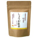 【暮らしラクラク応援セール】島根県産 しょうが紅茶 ティーバッグ(2g×8個入)×10セット【軽減税率対象商品】【取り寄せ・返品不可商品】