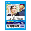 【暮らしラクラク応援セール】サンワサプライ インクジェット写真印画紙 絹目 A4 半光沢 特厚 20枚 JP-EP4NA4N【取り寄せ・返品不可商品】