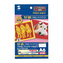 【暮らしラクラク応援セール】サンワサプライ インクジェットプリンタ用紙 厚手 A6 JP-AGA6【取り寄せ・返品不可商品】