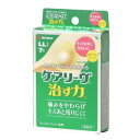 【暮らしラクラク応援セール】ニチバン ケアリーヴ 治す力 LL 7枚 478576【取り寄せ・返品不可商品】