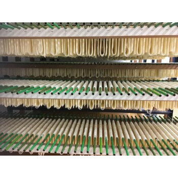 美-健康ゴルフ 【暮らしラクラク応援セール】鳥志商店 博多中華そば 塩味×30食 FO【軽減税率対象商品】【取り寄せ・返品不可商品】 画像3