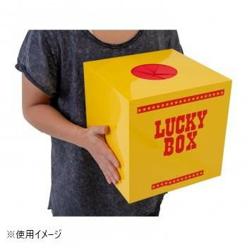 【暮らしラクラク応援セール】抽選ボックス(大) 7819【取り寄せ・返品不可商品】