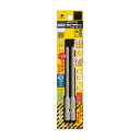 【暮らしラクラク応援セール】アネックス(ANEX) サイコウ(細硬)ビット 2本組 +2×100 ASKM-2100【取り寄せ・返品不可商品】