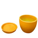 【暮らしラクラク応援セール】PT(プランツポット) HARA1 ボール&ソーサー S オレンジ【取り寄せ・返品不可商品】