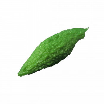 餷饯饯祻ܿͤ ʥץޥͥå ߥ˥奢 IP-337ڼ󤻡Բľʡ