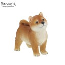 【暮らしラクラク応援セール】Benny's シバ QB-029【取り寄せ・返品不可商品】