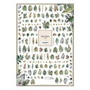 【暮らしラクラク応援セール】Sha-Nail Pro 写ネイル ネイルシール Specimen/スペシメン -green/グリーン- RYOSP-002【取り寄...