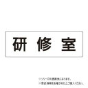 【暮らしラクラク応援セール】ユニット 研修室 片面表示 RS2-77【取り寄せ・返品不可商品】|詳細画像