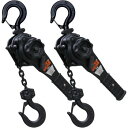 【暮らしラクラク応援セール】ベスト・アンサー レバーホイスト 1ton 1.5m 2台セット VGP-1 lh-003-bk-2p【取り寄せ・返品不可商品】