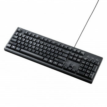 【暮らしラクラク応援セール】サンワサプライ 英語USBキーボード ブラック SKB-E5UBK【取り寄せ・返品不可商品】