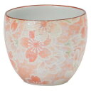 【暮らしラクラク応援セール】天音(あまね) 茶湯器 有田焼 雅桜ピンク 32H700009v072【取り寄せ・返品不可商品】