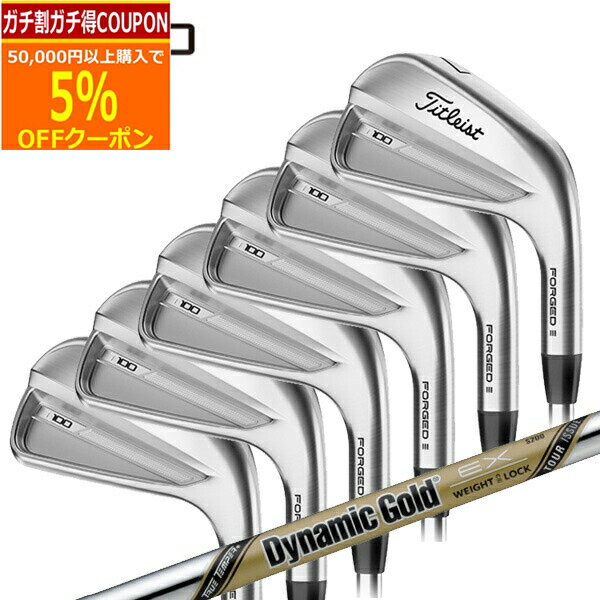 ★★11/1までガチ得クーポン発行中★★(特注カスタムクラブ) タイトリスト Tシリーズ T100 アイアンセット(6本 #5-PW) ダイナミックゴールドEXツアーイシュー2023年モデル(日本正規品)【★ 即納】