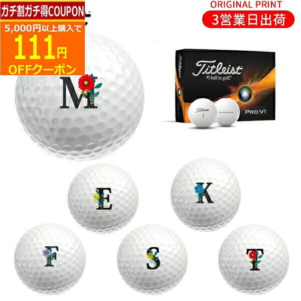 【12/1まで最大5％OFFガチ得クーポン】【オリジナルオウンネームプリント(納期2-3日)】タイトリスト PROV1 ゴルフボール 1ダース(12球入り) 2023年モデル アルファベットB マーク入り その1