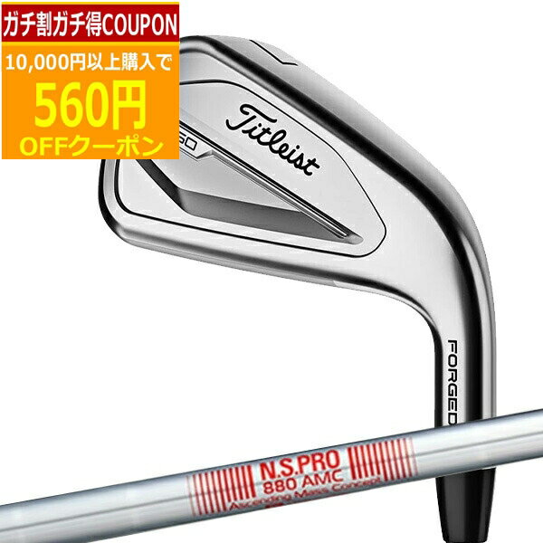 【6/20まで最大10％OFFガチ得クーポン】(営業日即日発送)タイトリスト(Titleist) Tシリーズ T350 アイアン単品(#4,#5,W53) N.S.PRO-880AMC シャフト 2023年モデル(日本正規品)