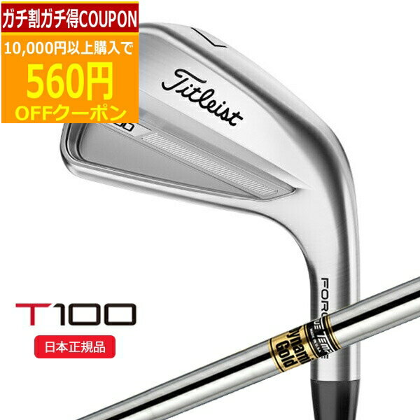 【16日まで最大4600円OFFガチ得クーポン】(ポイント10倍)(営業日即日発送)タイトリスト(Titleist) Tシリーズ T100 アイアン単品(#3,#4,W50) ダイナミックゴールド(通常ラベル) シャフト 2023年モデル(日本正規品)