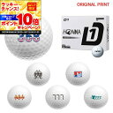 【★★スーパーSALEエントリーで当店全品P10倍UP★★】【オリジナルマークプリントボール(納期2-3日)】ホンマ D1 ダイナミックディスタンス BT240...