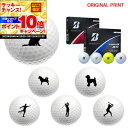【★★スーパーSALEエントリーで当店全品P10倍UP★★】【オリジナルマークプリントボール(納期2-3日)】ブリヂストン 24 TourB-X / TourB...