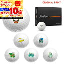 【★★スーパーSALEエントリーで当店全品P10倍UP★★】【オリジナルマークプリントボール(納期2-3日)】タイトリスト PROV1 ゴルフボール 1ダース(...