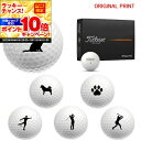 【★★スーパーSALEエントリーで当店全品P10倍UP★★】【オリジナルマークプリントボール(納期2-3日)】タイトリスト PROV1 ゴルフボール 1ダース(...