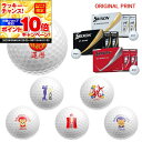 【★★スーパーSALEエントリーで当店全品P10倍!★★】【オリジナルマークプリントボール(納期2-3日)】ダンロップ スリクソン 2025 New Z-STAR(ゼットスター) ゴルフボール 1ダース(12球) 祝 還暦 古希 プリント入り