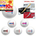 【★★スーパーSALEエントリーで当店全品P10倍!★★】【オリジナルマークプリントボール(納期2-3日)】ダンロップ スリクソン 2025 New Z-STAR(ゼットスター) ゴルフボール 1ダース(12球) ターゲットラインB マーク入り