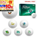 【★★スーパーSALEエントリーで当店全品P10倍UP★★】【オリジナルマークプリントボール(納期2-3日)】タイトリスト AVX ゴルフボール 1ダース(12球入り) 2024年モデル 干支 プリント マーク入り