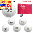 【★★スーパーSALEエントリーで当店全品P10倍UP★★】【オリジナルマークプリントボール(納期2-3日)】ワークスゴルフ 飛匠プレミアムレディ ゴルフボール...