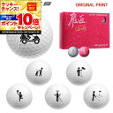【★★スーパーSALEエントリーで当店全品P10倍!★★】【オリジナルマークプリントボール(納期2-3日)】ワークスゴルフ 飛匠プレミアムレディ ゴルフボール 1ダース(12球) 2025年継続 ピクトグラム マーク入り