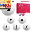 【★★スーパーSALEエントリーで当店全品P10倍!★★】【オリジナルマークプリントボール(納期2-3日)】ワークスゴルフ 飛匠プレミアムレディ ゴルフボール 1ダース(12球) 2025年継続 シルエット マーク入り