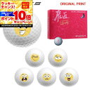 【★★スーパーSALEエントリーで当店全品P10倍UP★★】【オリジナルマークプリントボール(納期2-3日)】ワークスゴルフ 飛匠プレミアムレディ ゴルフボール...