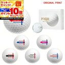 【★★スーパーSALEエントリーで当店全品P10倍UP★★】【オリジナルマークプリントボール(納期2-3日)】プロギア プレミアム (PRGR PREMIUM)...