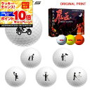 【★★スーパーSALEエントリーで当店全品P10倍UP★★】【オリジナルマークプリントボール(納期2-3日)】ワークスゴルフ 飛匠レッドラベル極 ゴルフボール 1ダース (12球入り)2025年継続モデル (日本正規品)ピクトグラム マーク入り