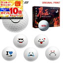 【★★スーパーSALEエントリーで当店全品P10倍UP★★】【オリジナルマークプリントボール(納期2-3日)】ワークスゴルフ 飛匠レッドラベル極 ゴルフボール ...